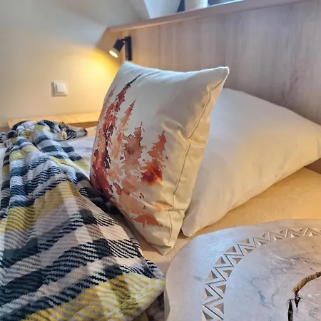 Goscinne U Wandy 民宿 扎科帕内