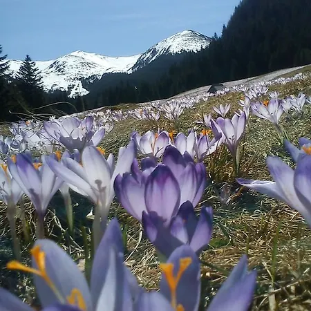 Alloggio in famiglia Goscinne U Wandy Zakopane