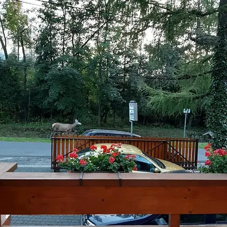 Alloggio in famiglia Goscinne U Wandy *