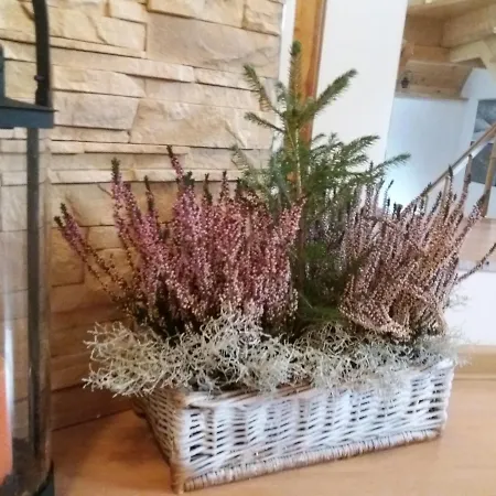 홈스테이 Goscinne U Wandy *