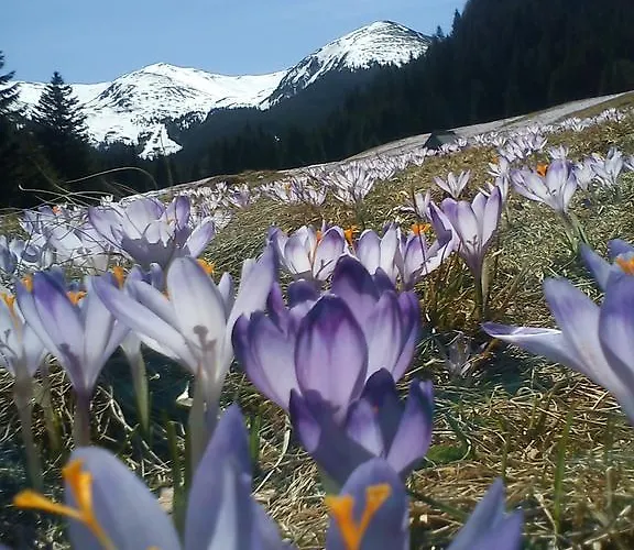 Alloggio in famiglia Goscinne U Wandy Zakopane