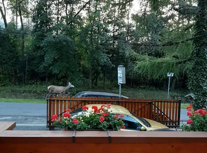 Alloggio in famiglia Goscinne U Wandy *